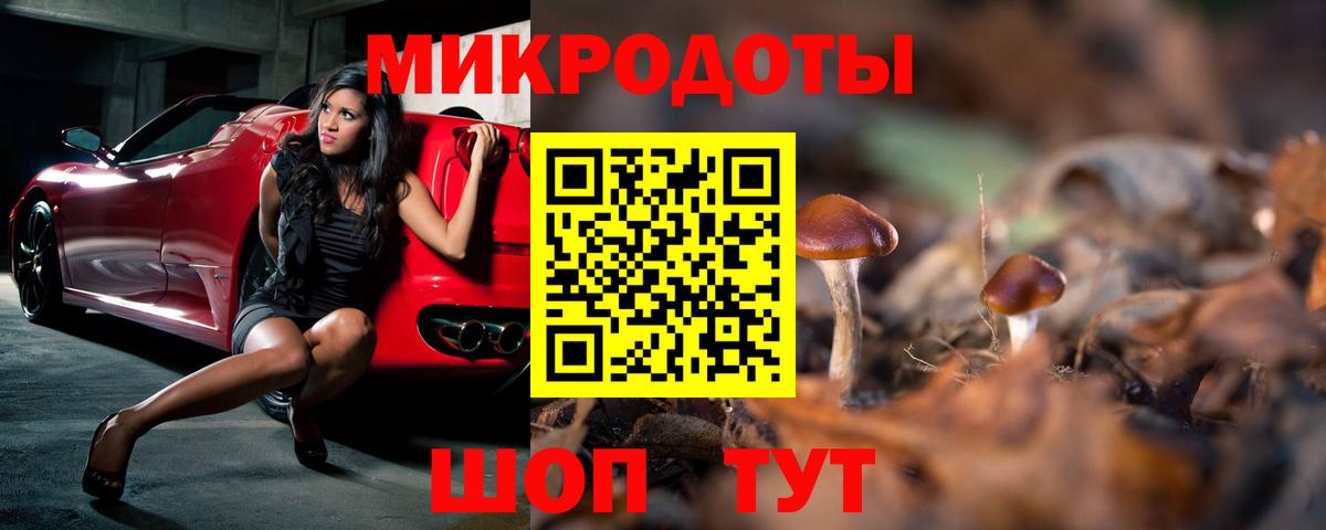 Галлюциногенные грибы Psilocybe  закладка  Азов  Вход с VPN 